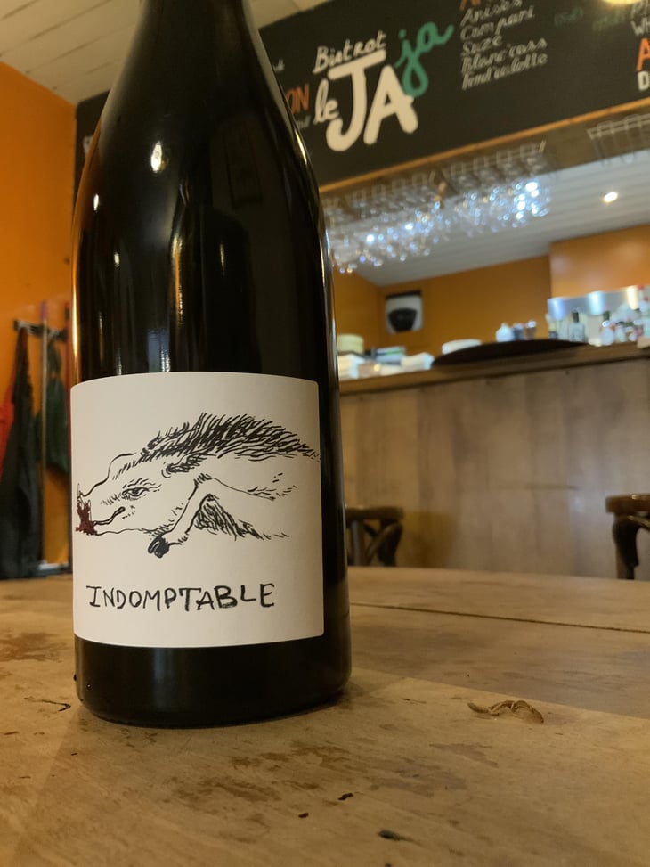 Indomptable - Domaine des 2 Fauves - Laura Soldan & Charles Henri Quantin 
