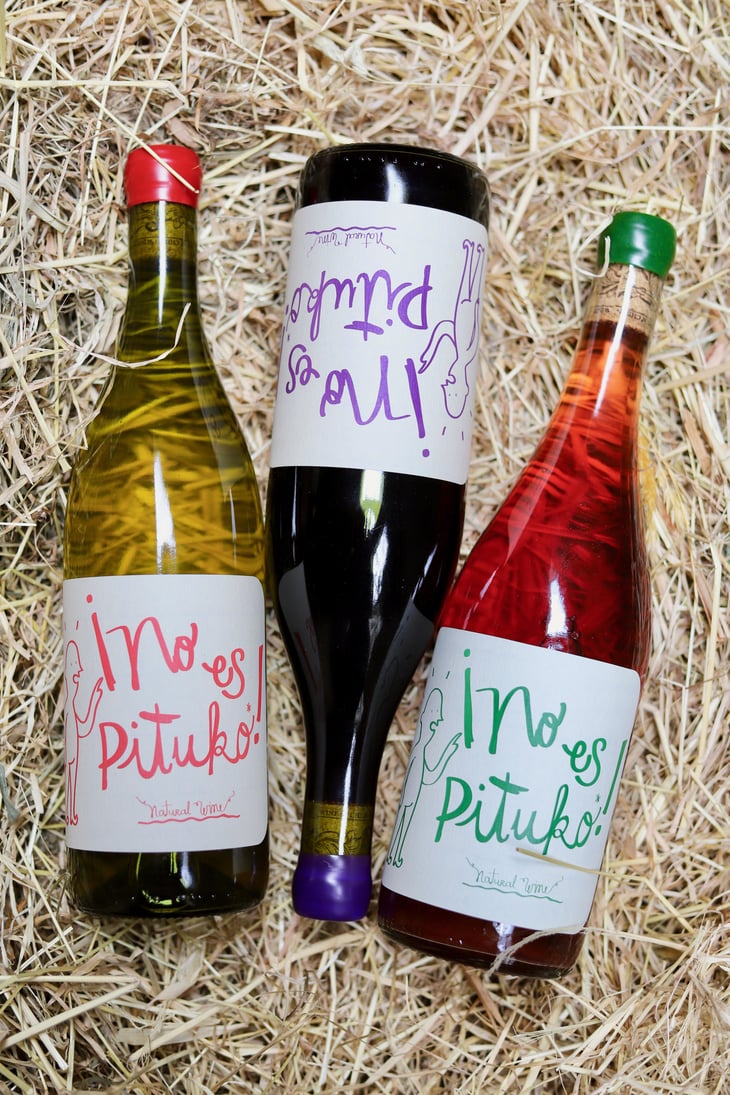 No Es Pituko - Viña Echeverría - Quasar Wines - Roberto, Viviana, Paulina & Diego Echeverría 