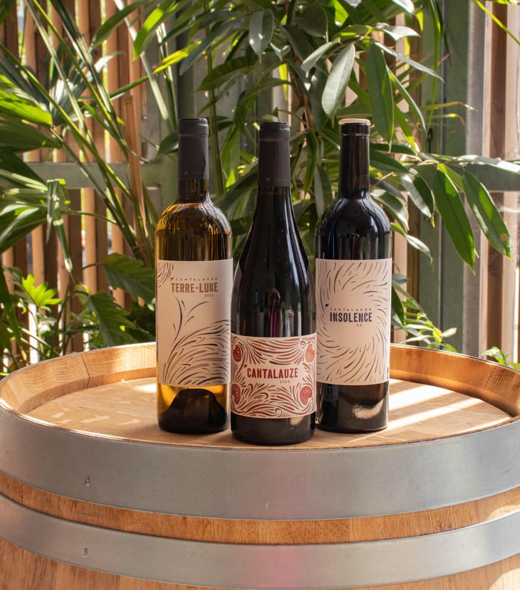 Insolence - Domaine de Cantalauze - Pierre-Olivier & Pauline Laurent -2020