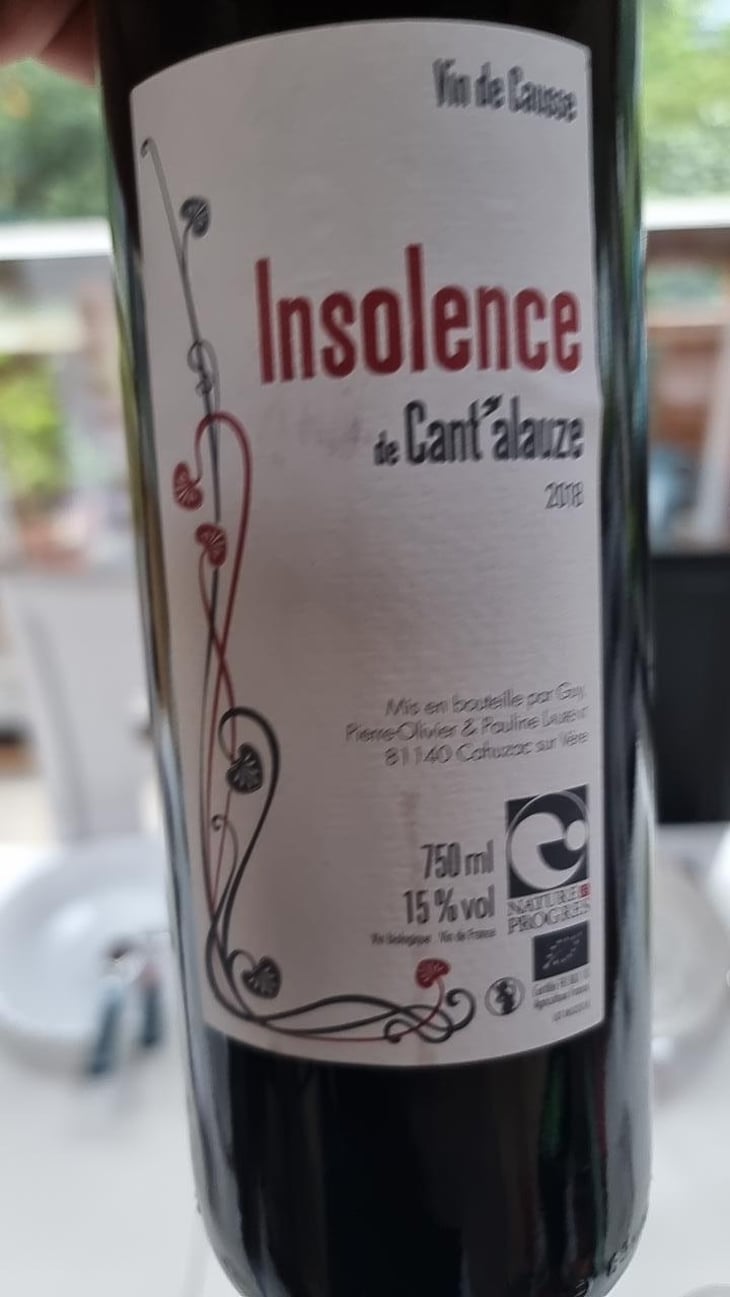 Insolence - Domaine de Cantalauze - Pierre-Olivier & Pauline Laurent -2020