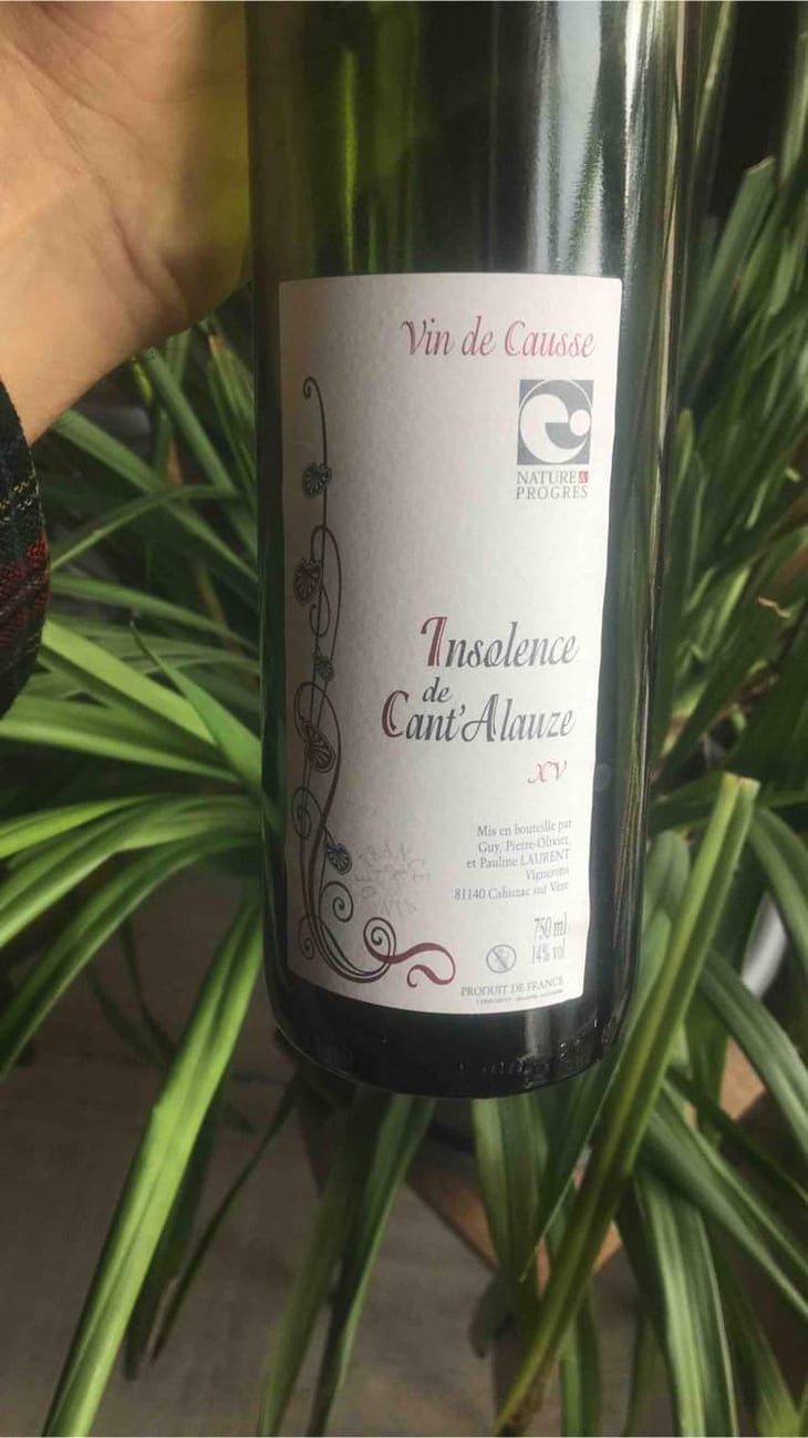 Insolence - Domaine de Cantalauze - Pierre-Olivier & Pauline Laurent -2020