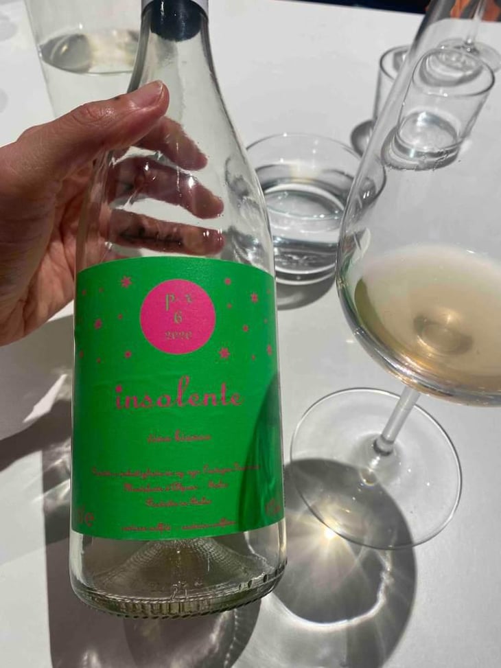 Vino Frizzante - Insolente Vini - Luca Elettri -2020