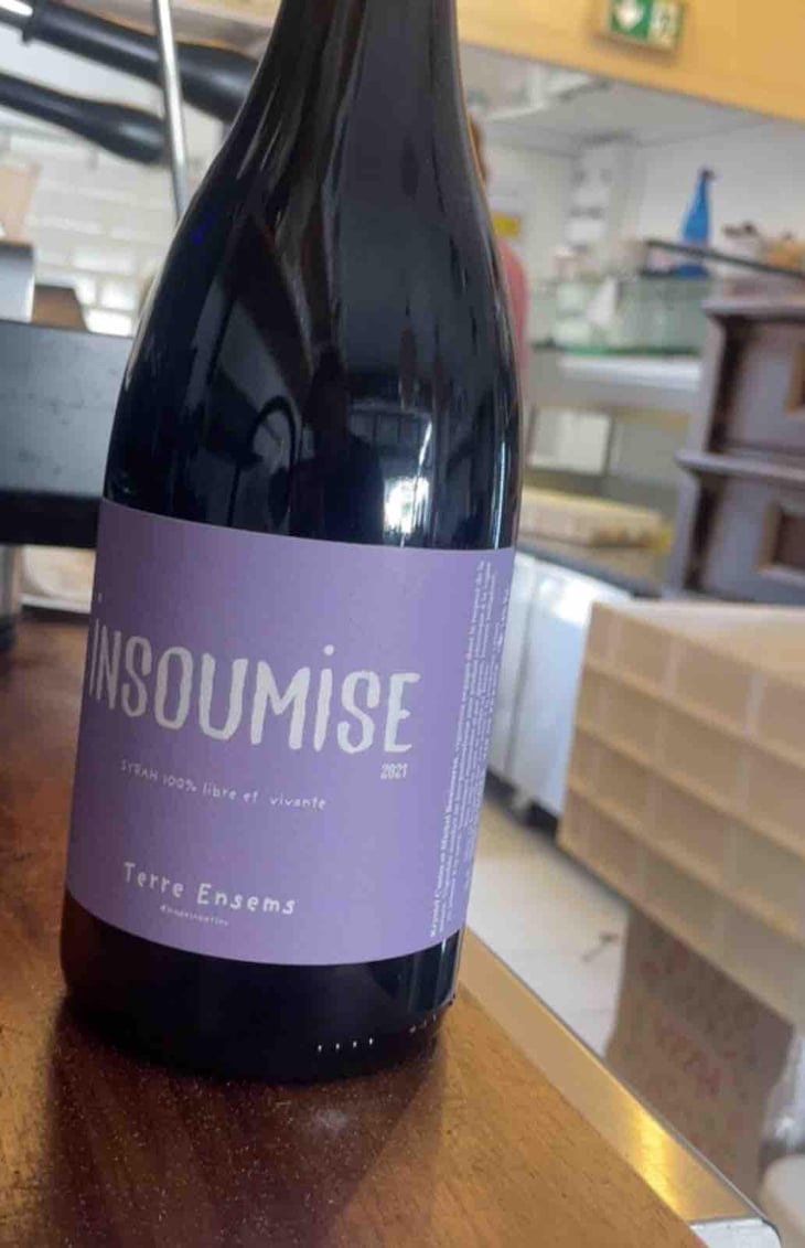 Insoumise - Terre Ensems - Krystel Costes & Michel Bouisseren 