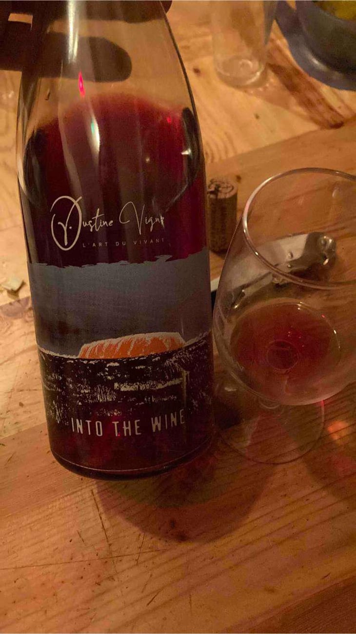 Into The Wine - Justine Vigne - Justine Vigne 