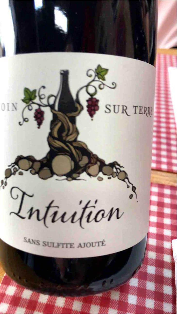 Intuition - Un Coin Sur Terre - Edouard Sentex 