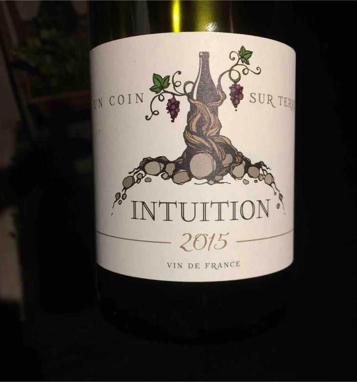 Intuition - Un Coin Sur Terre - Edouard Sentex 