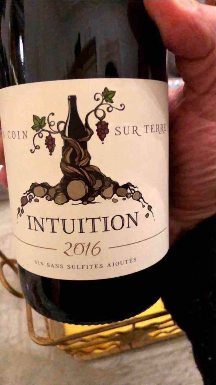 Intuition - Un Coin Sur Terre - Edouard Sentex 