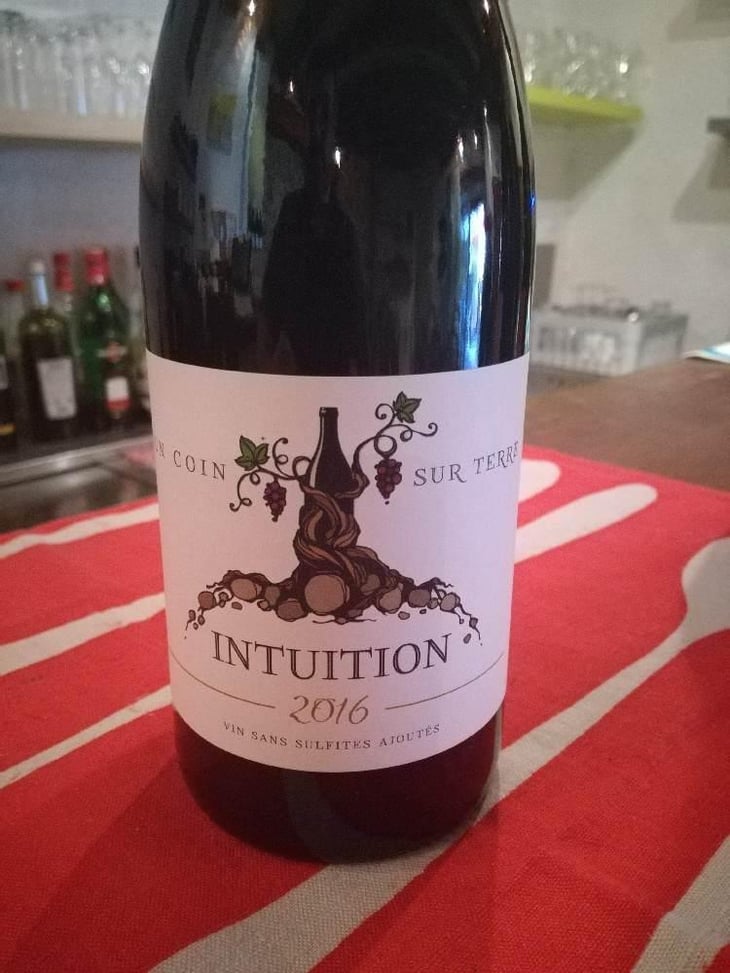Intuition - Un Coin Sur Terre - Edouard Sentex 
