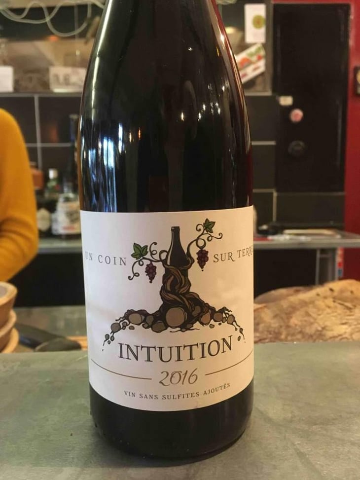 Intuition - Un Coin Sur Terre - Edouard Sentex 
