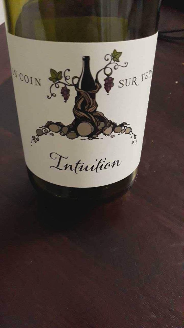 Intuition - Un Coin Sur Terre - Edouard Sentex 