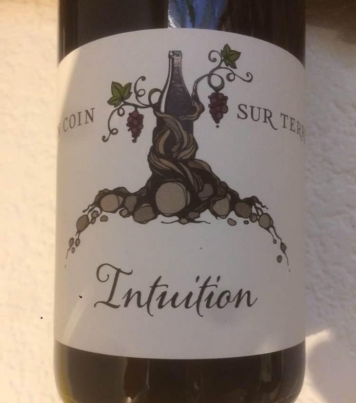 Intuition - Un Coin Sur Terre - Edouard Sentex 