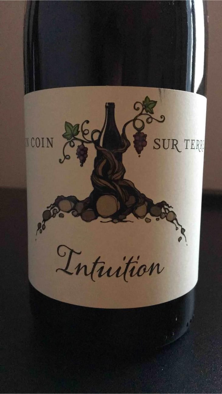 Intuition - Un Coin Sur Terre - Edouard Sentex 