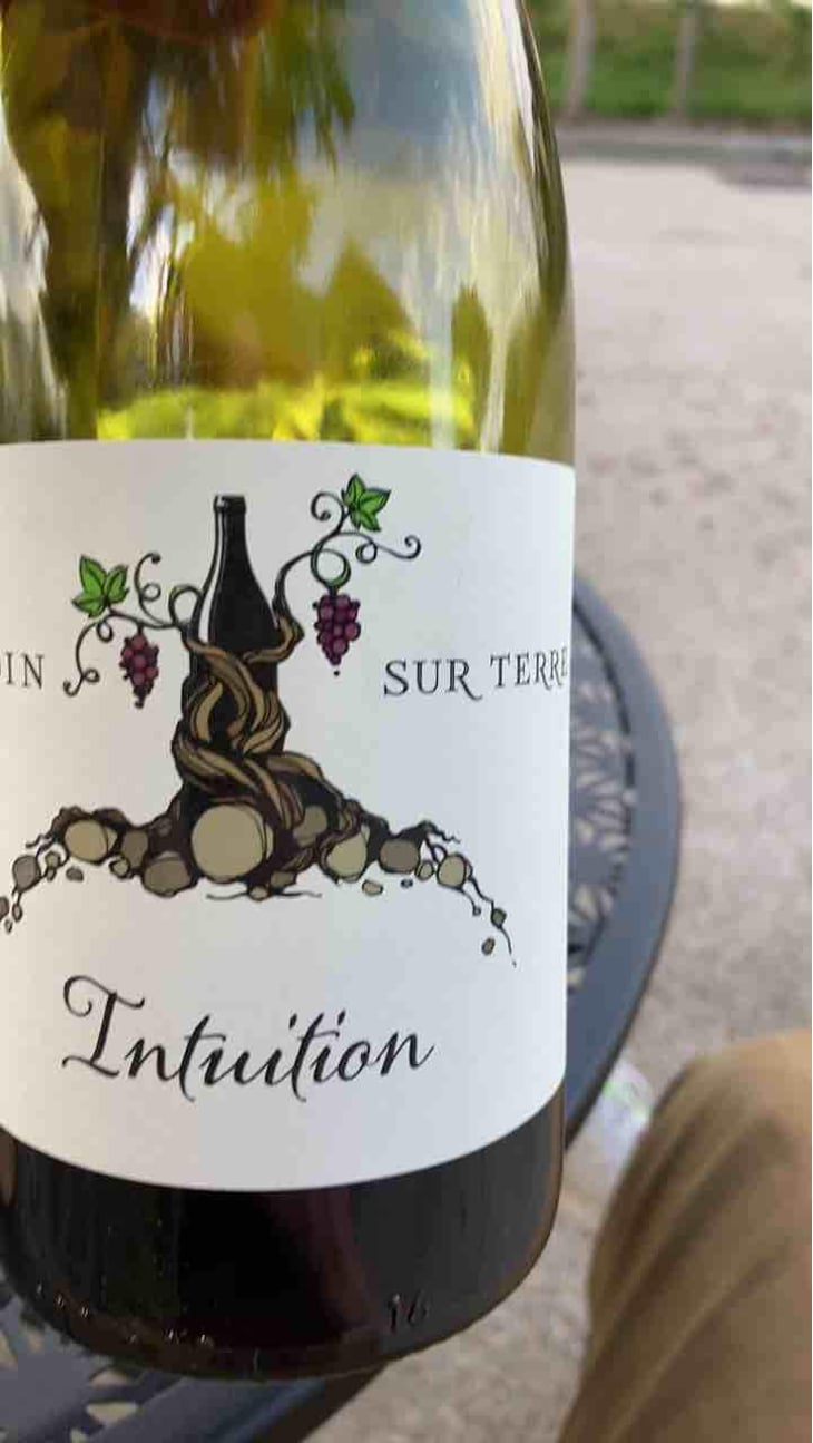 Intuition - Un Coin Sur Terre - Edouard Sentex 