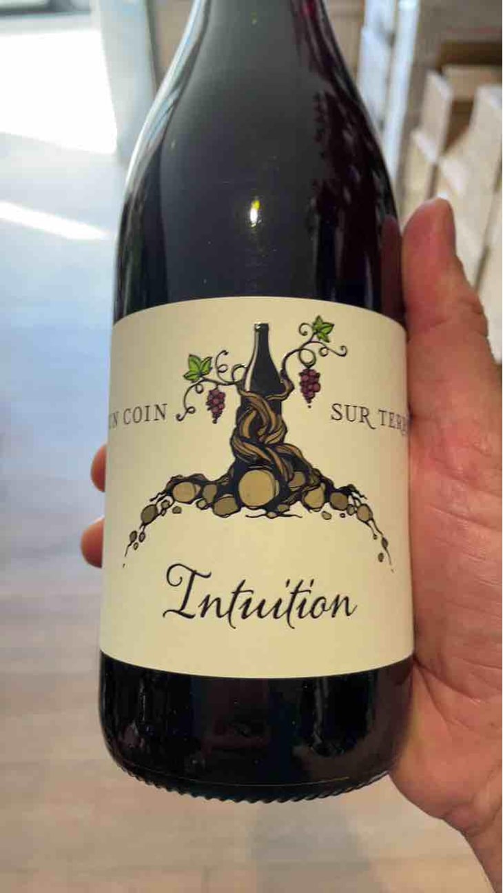 Intuition - Un Coin Sur Terre - Edouard Sentex 
