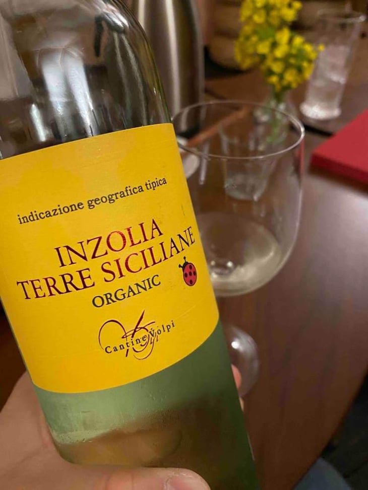 Inzolia Sicilia Organic - Cantine Volpi - Cantine Volpi 