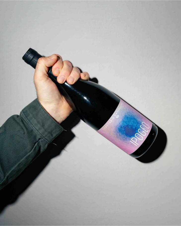 Ipogeo (old label) - Fattoria Castellina - Francesco Montomoli 