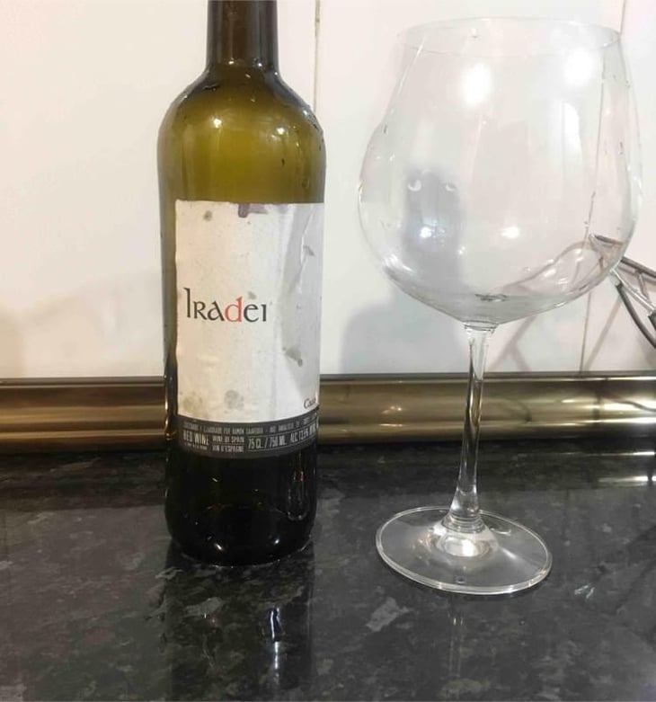 Iradei - Bodega Cauzon - Ramón Saavedra 