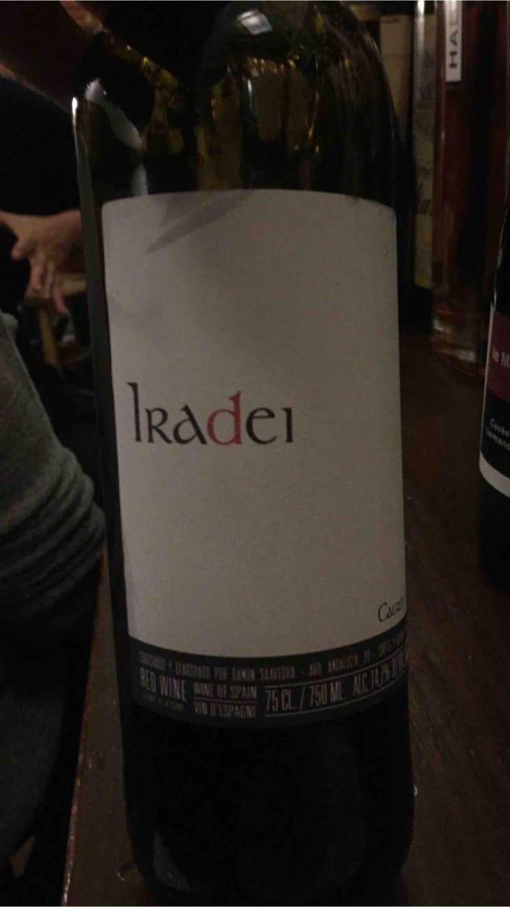 Iradei - Bodega Cauzon - Ramón Saavedra 