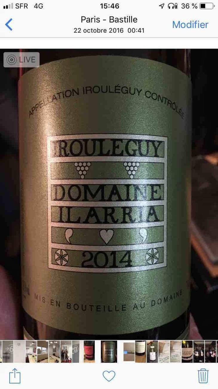 Irouléguy Blanc - Domaine Ilarria - Peio Espil 