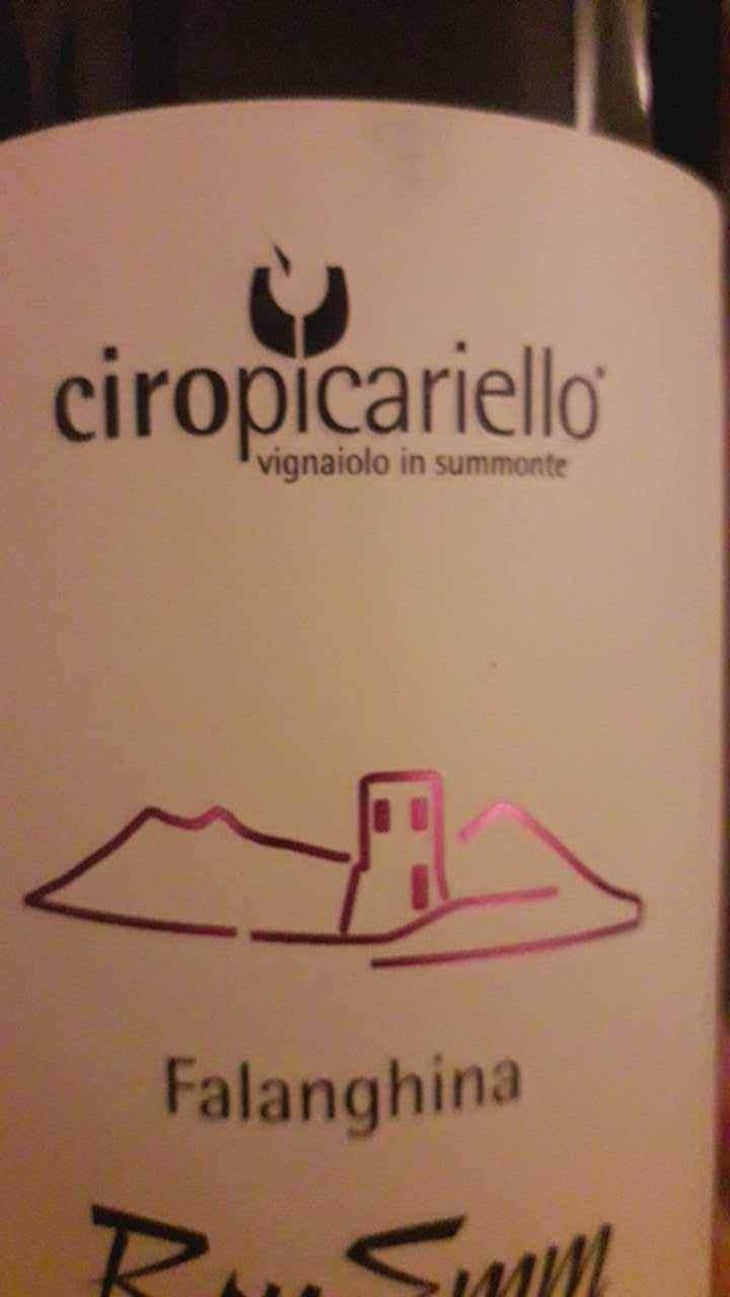 Irpinia Aglianico Zì Filicella - Ciro Picariello - Ciro Picariello 
