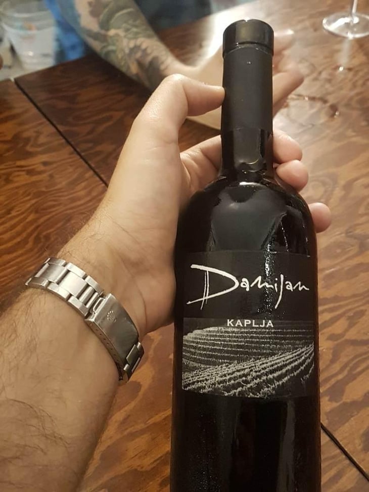 Kaplja - Damijan Podversic - Damijan Podversic 