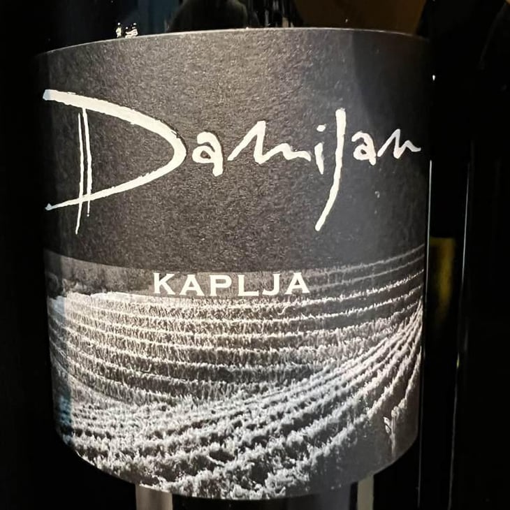 Kaplja - Damijan Podversic - Damijan Podversic 