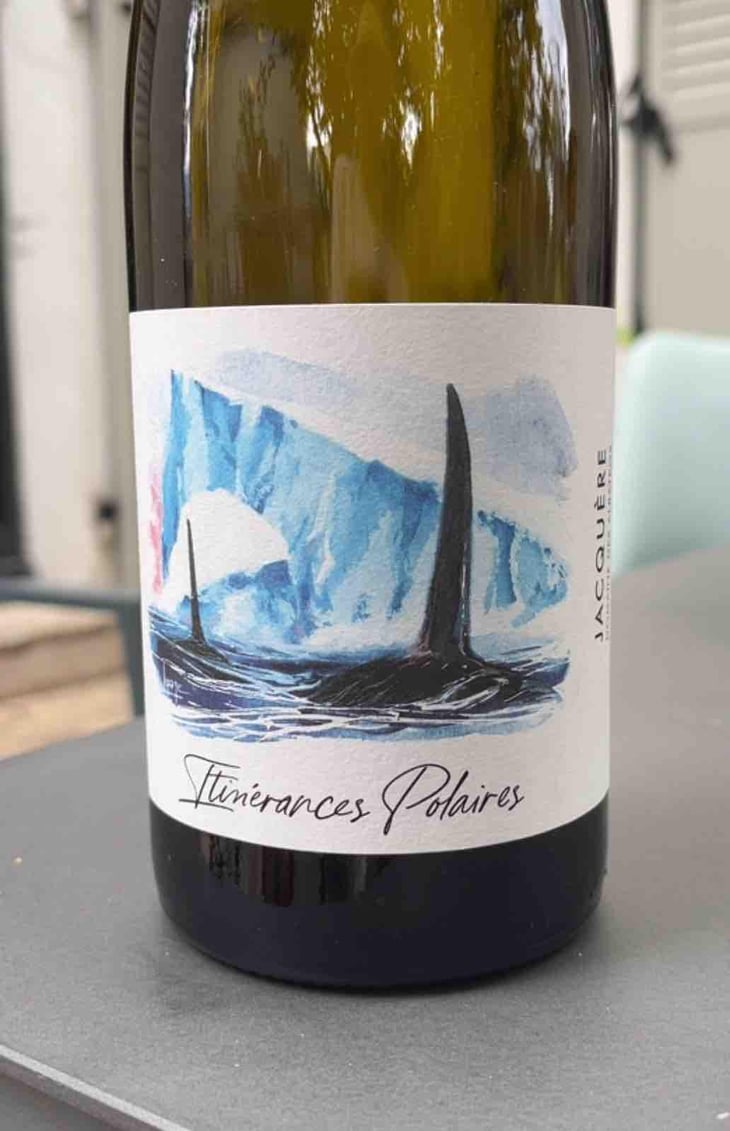 Itinérance Polaires - Domaine des Albatros - Julien Cartier 
