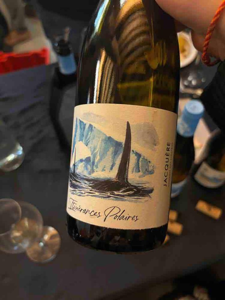 Itinérance Polaires - Domaine des Albatros - Julien Cartier 