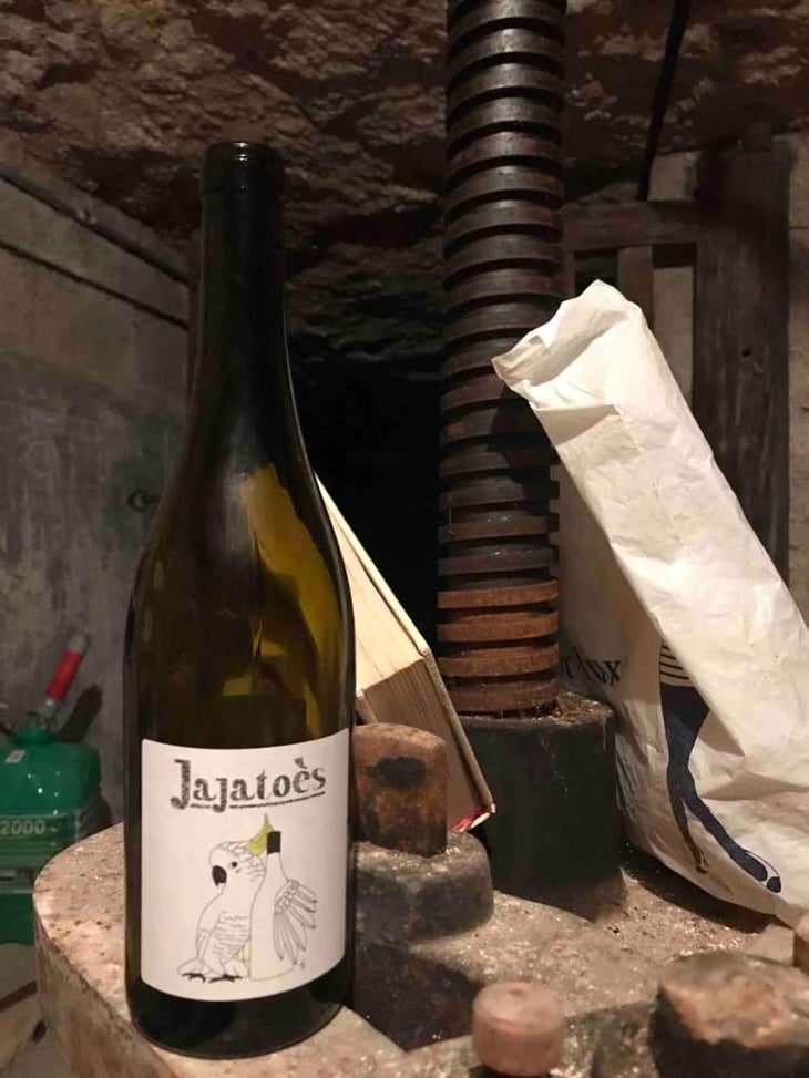 Jajatoes - Domaine du Petit Oratoire - Lori Haon 