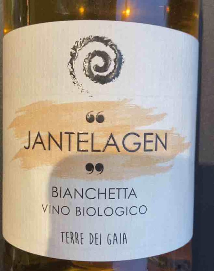 jantelagen - Agricola Polesana - Terre dei Gaia - Claudio Polesana -2020