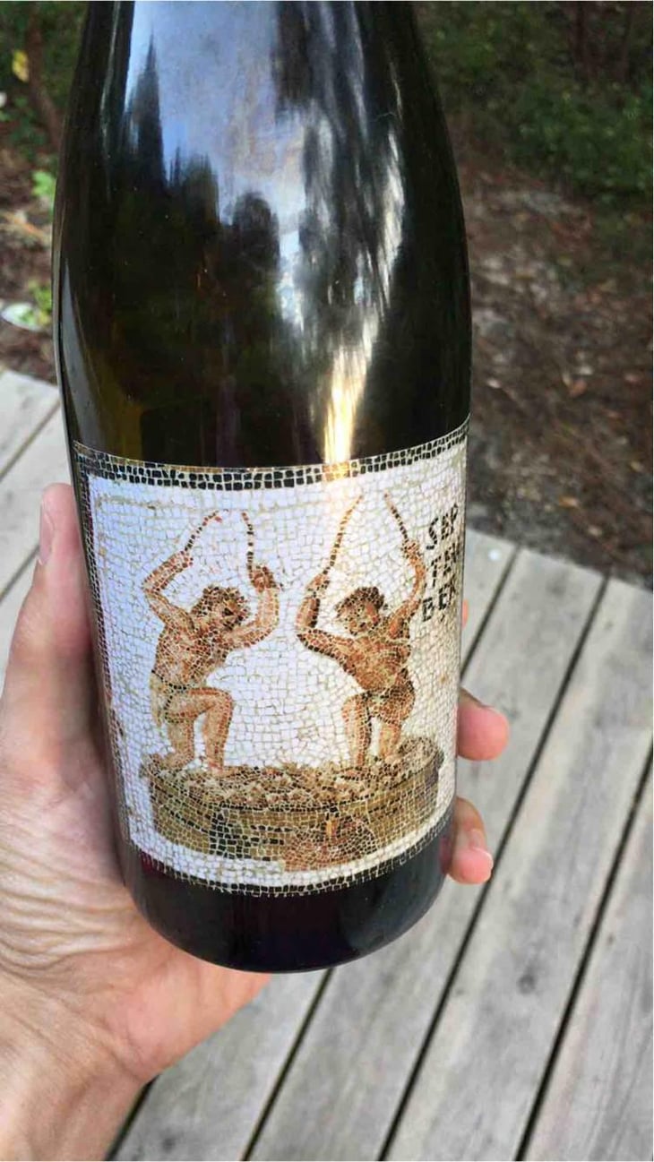 Janus - Domaine de L'Ecu - Claire & Fred NIGER 