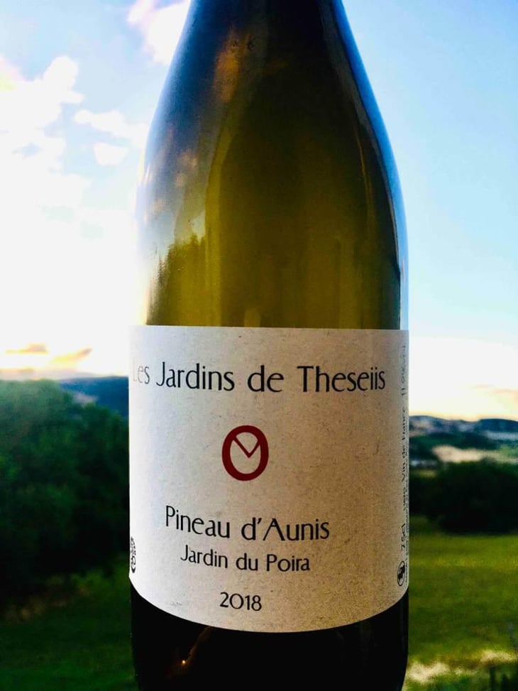 Jardin Du Poira - Pineau d’Aunis - Les Jardins de Theseiis - Paul-André Risse & Anouk Lavoie-Lamoureux 