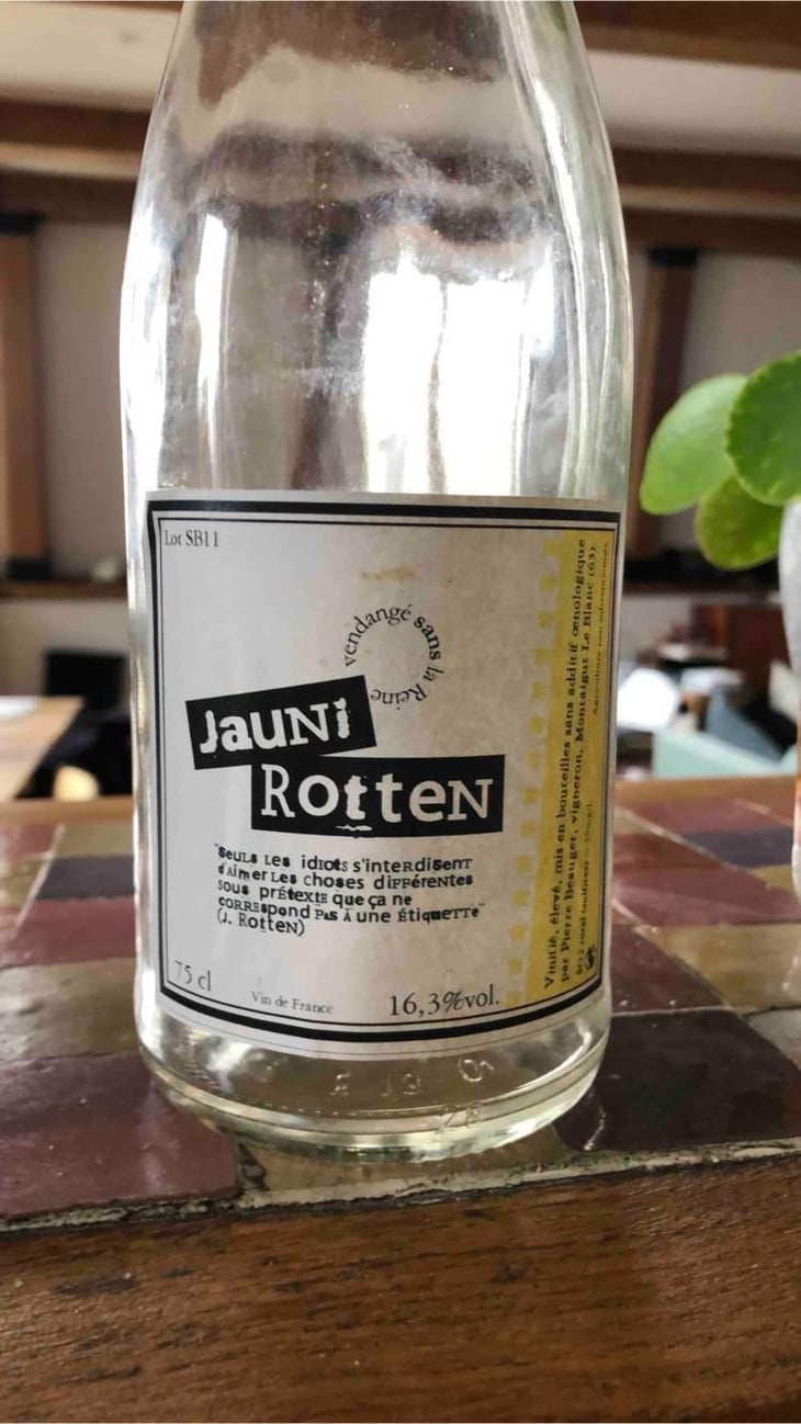 Jauni Rotten - Pierre Beauger - Pierre Beauger 