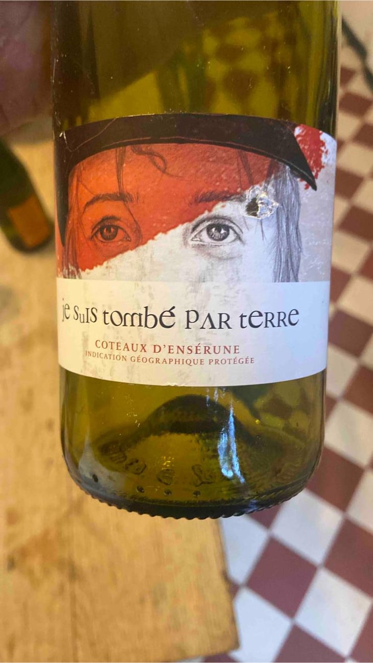 Je Suis Tombe Par Terre - Vila Voltaire - Cecile Et Stephane -2022