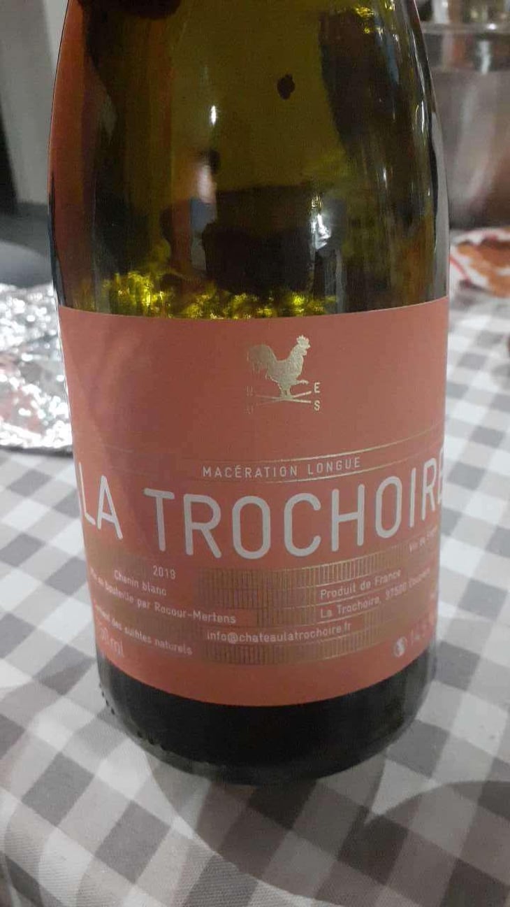 Jeunes Vignes - Château La Trochoire - Famille Rocour-Mertens 
