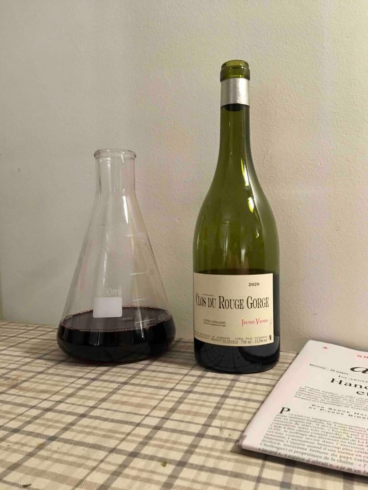Jeunes Vignes - Clos du Rouge Gorge - Cyril Fhal 