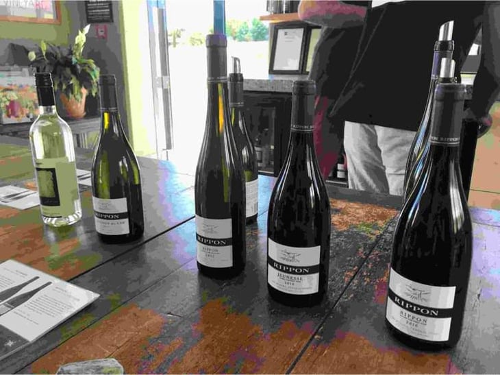 “Jeunesse” Young Vine Pinot Noir - Rippon - mills-family-team 