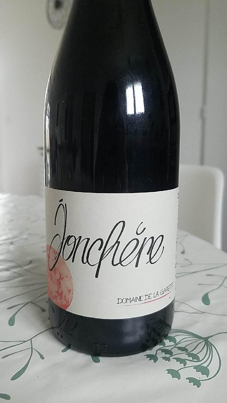 Jonchère - Domaine de la Gapette - Victor Blondin 