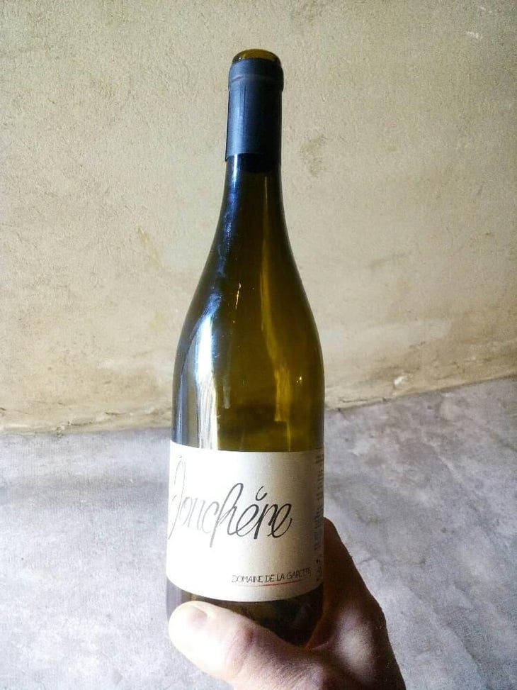 Jonchère - Domaine de la Gapette - Victor Blondin 
