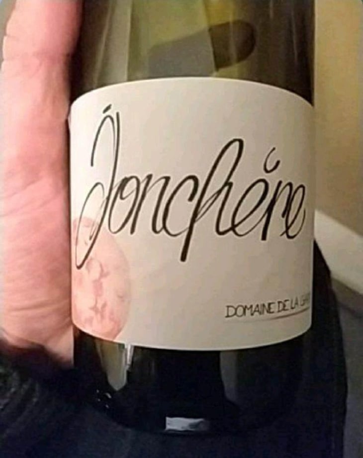 Jonchère - Domaine de la Gapette - Victor Blondin 