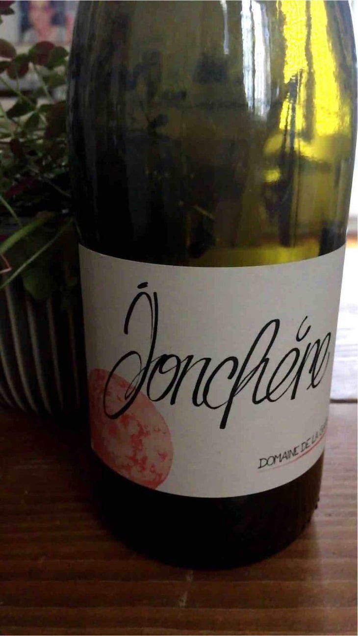 Jonchère - Domaine de la Gapette - Victor Blondin 