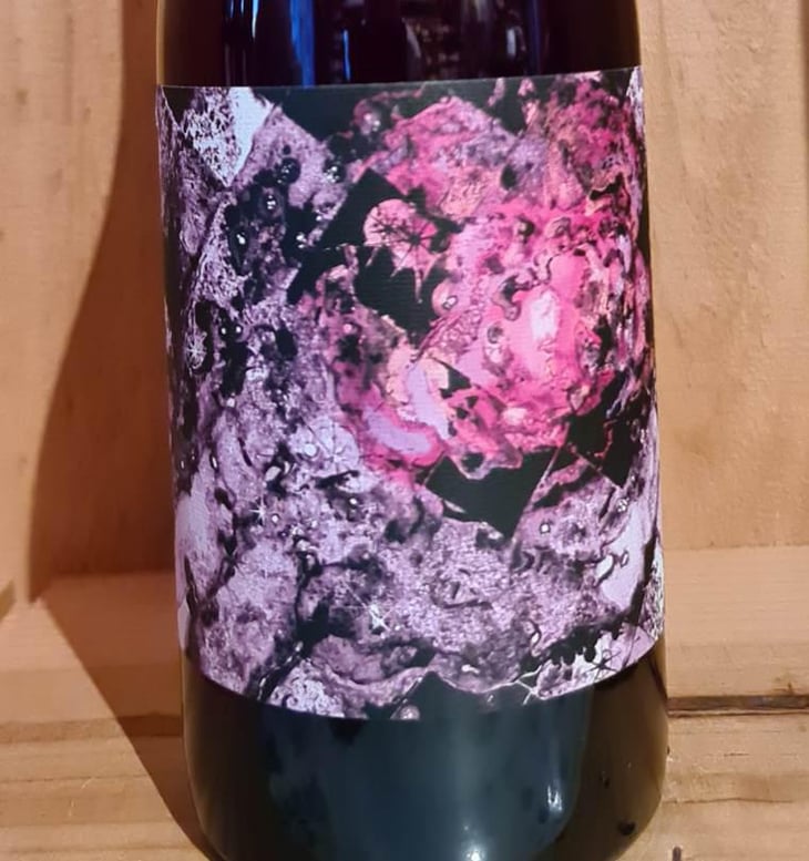 Jonchère - Domaine de la Gapette - Victor Blondin 