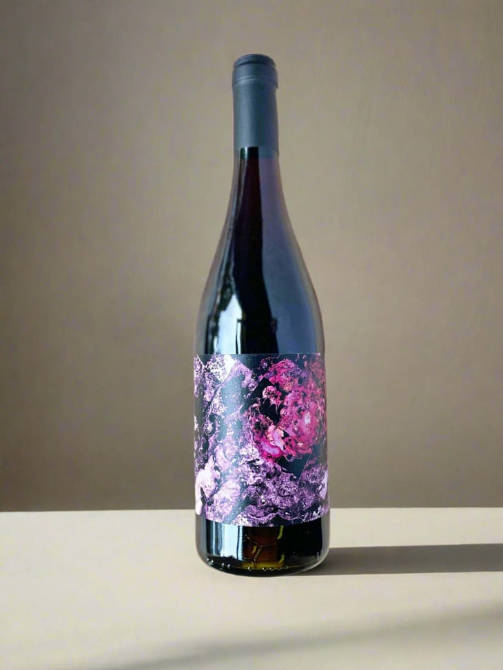 Jonchère - Domaine de la Gapette - Victor Blondin 