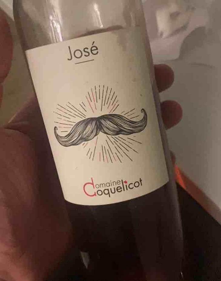 José - Domaine Coquelicot - Gregoire Rousseau 
