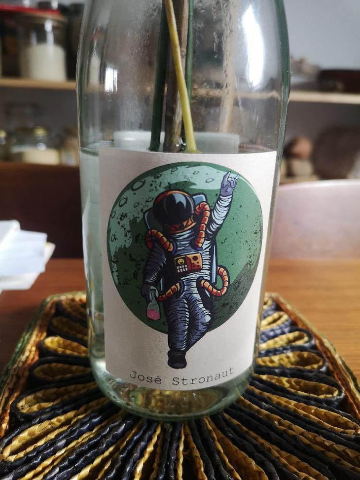 Jose Stronaut - Jan-Philipp Bleeke - Winemaking - Jan-Philipp Bleeke -2019
