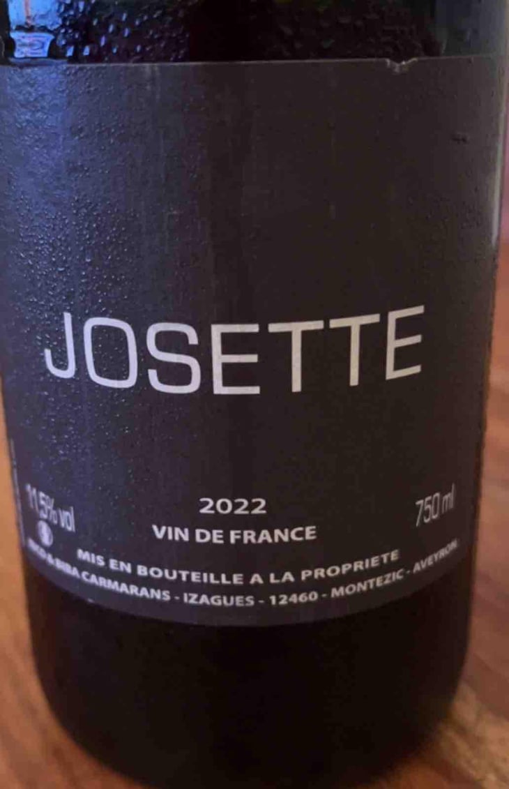 Josette - Nicolas Carmarans - Nicolas Carmarans -2021