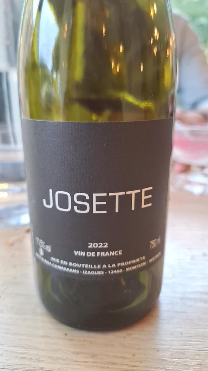 Josette - Nicolas Carmarans - Nicolas Carmarans -2021