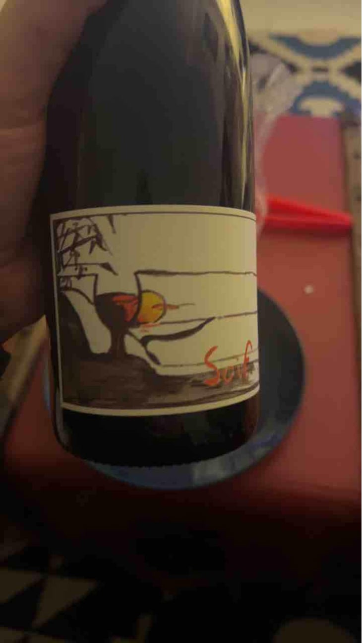 Jour De Soif - Domaine Du Bel Air - Pierre & Rodolphe Gauthier -2019