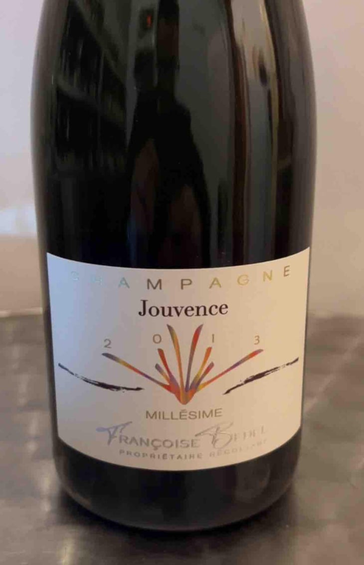 Jouvence - Françoise Bedel - Françoise Bedel -2013