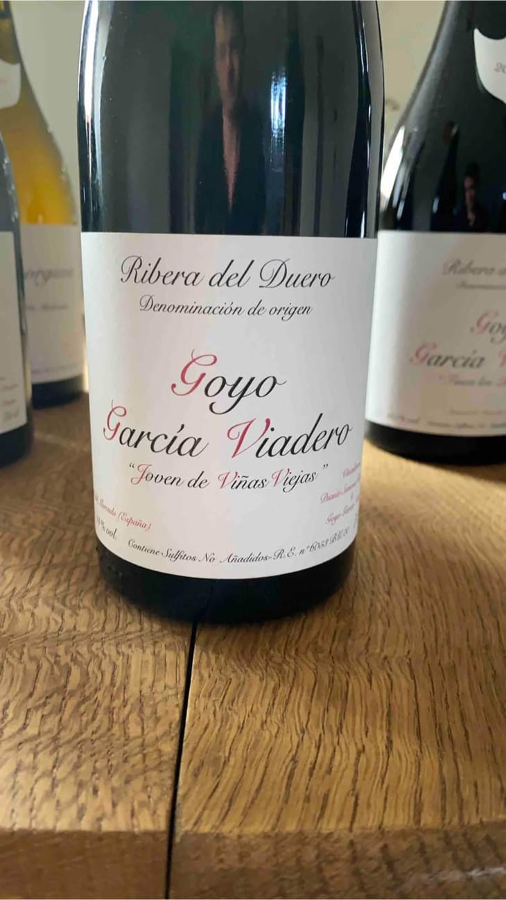 Joven de Viñas Viejas - Goyo Garcia Viadero - Goyo Garcia Viadero 